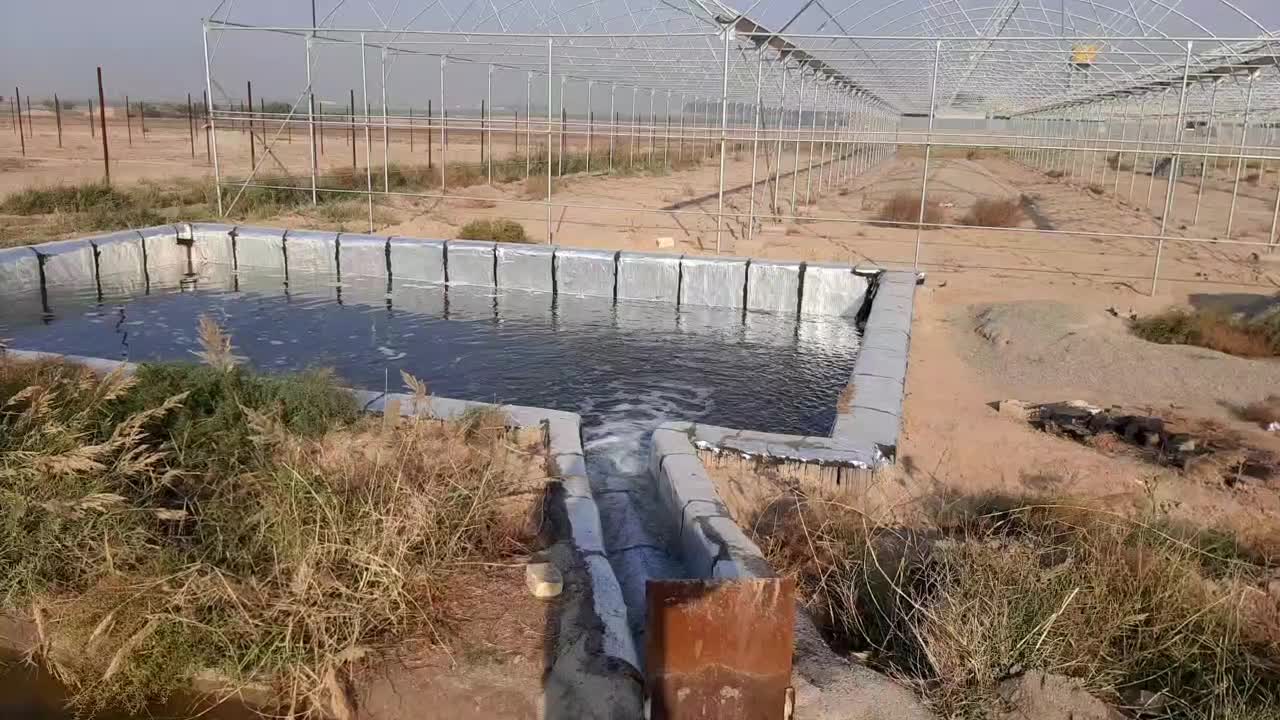 فروش گلخانه با کشت زمینی|فروش دفتر صنعتی، کشاورزی، تجاری|قرچک, صالح آباد|دیوار