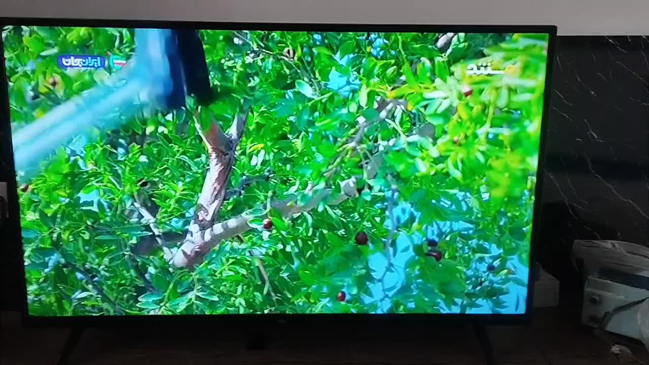 ال ای دی 43|تلویزیون و پروژکتور|پیر بکران, |دیوار