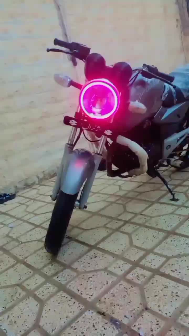 پالس اصلی|موتورسیکلت|نیشابور, ابراهیمی|دیوار