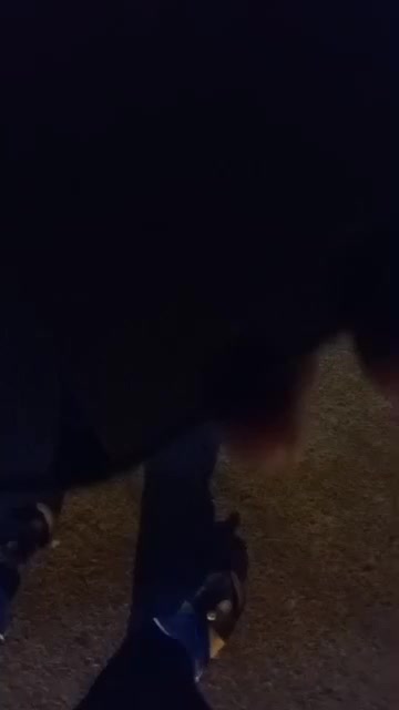 سلام پژو پارس ای ال ایکس موتور زانتیا سالم|خودرو سواری و وانت|کارون, |دیوار