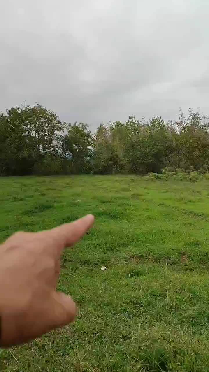 340 متر زمین شهری 220 متر حریم در اختیار رودخونه|فروش زمین و ملک کلنگی|گوراب زرمیخ, |دیوار