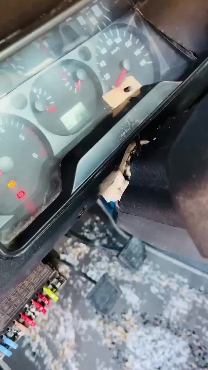 نیسان زامیاد مدل ۱۴۰۱ درحد|خودرو سواری و وانت|زاهدان, |دیوار