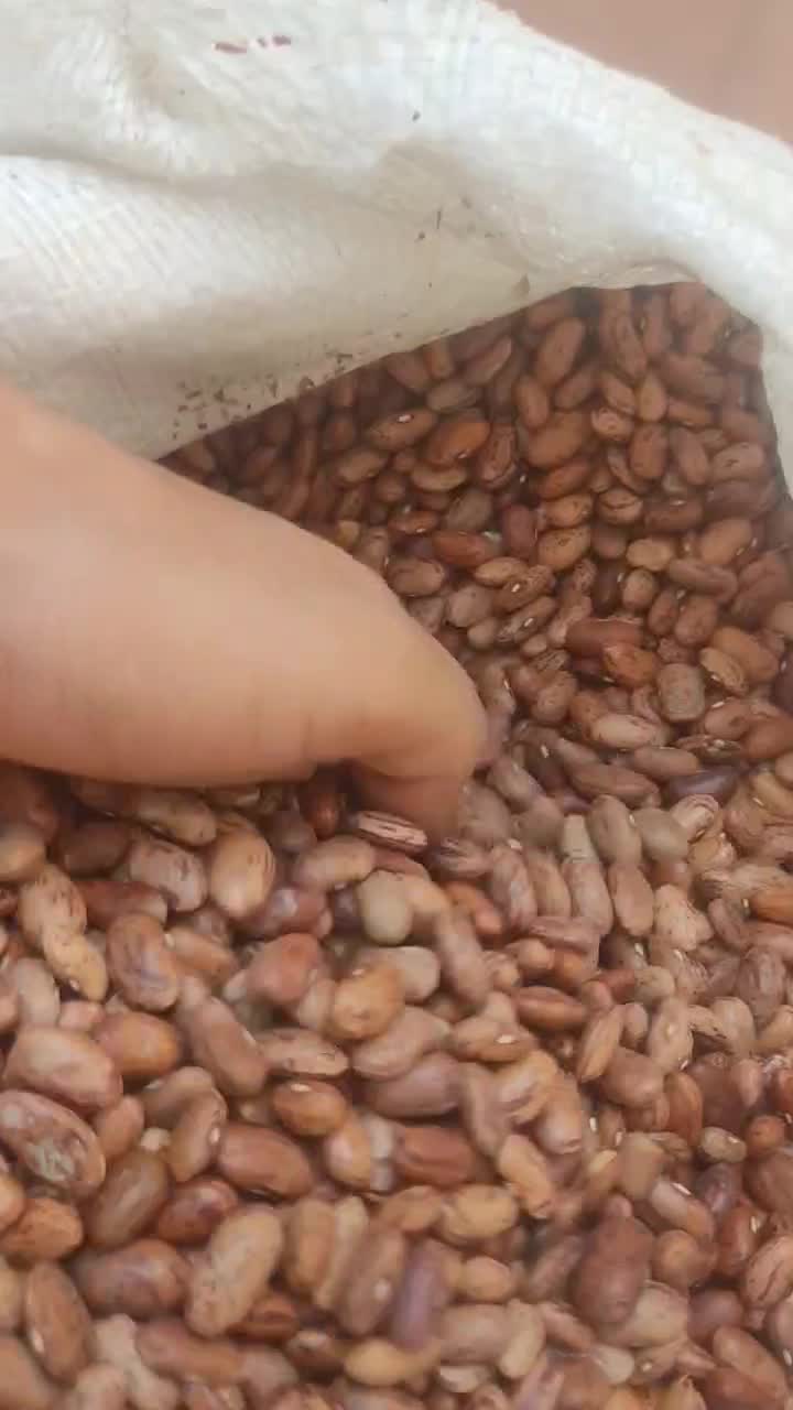 حبوبات لوبیا چیتی عدس ولپه قیمت مناسب|خوردنی و آشامیدنی|اهواز, نادری|دیوار