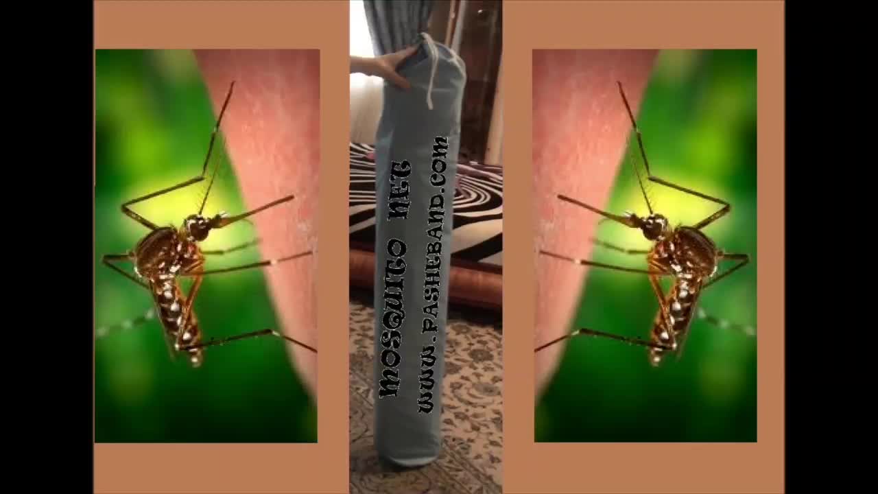 پشه بند یک دو سه|سرویس روتختی|پردیس, فاز ۸|دیوار