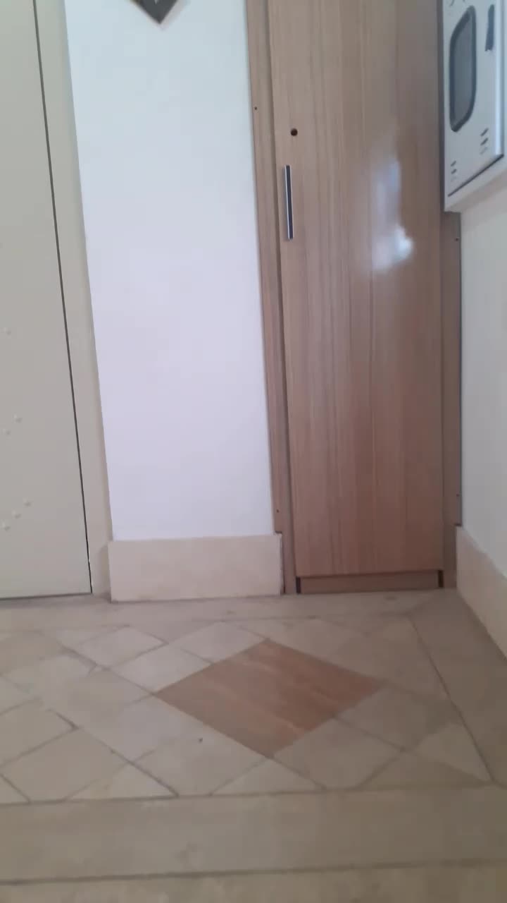 اجاره رهن واحد۱۵۰متری۳خوابه مدرس آفتابگیر تک واحدی|اجارهٔ آپارتمان|بیرجند, |دیوار