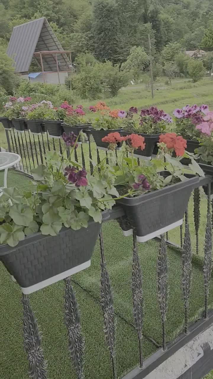 کلبه چوبی دوبلکس جنگلی زیر بام سبز ماسال|اجارهٔ کوتاه‌مدت ویلا و باغ|ماسال, |دیوار