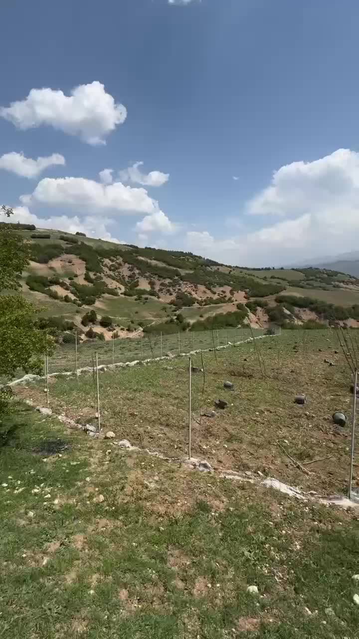 ۱۷۳۰۰ متر زمین باغی دیلمان تهاتربا خانه و خودرو|فروش زمین و ملک کلنگی|تهران, حبیب الله|دیوار