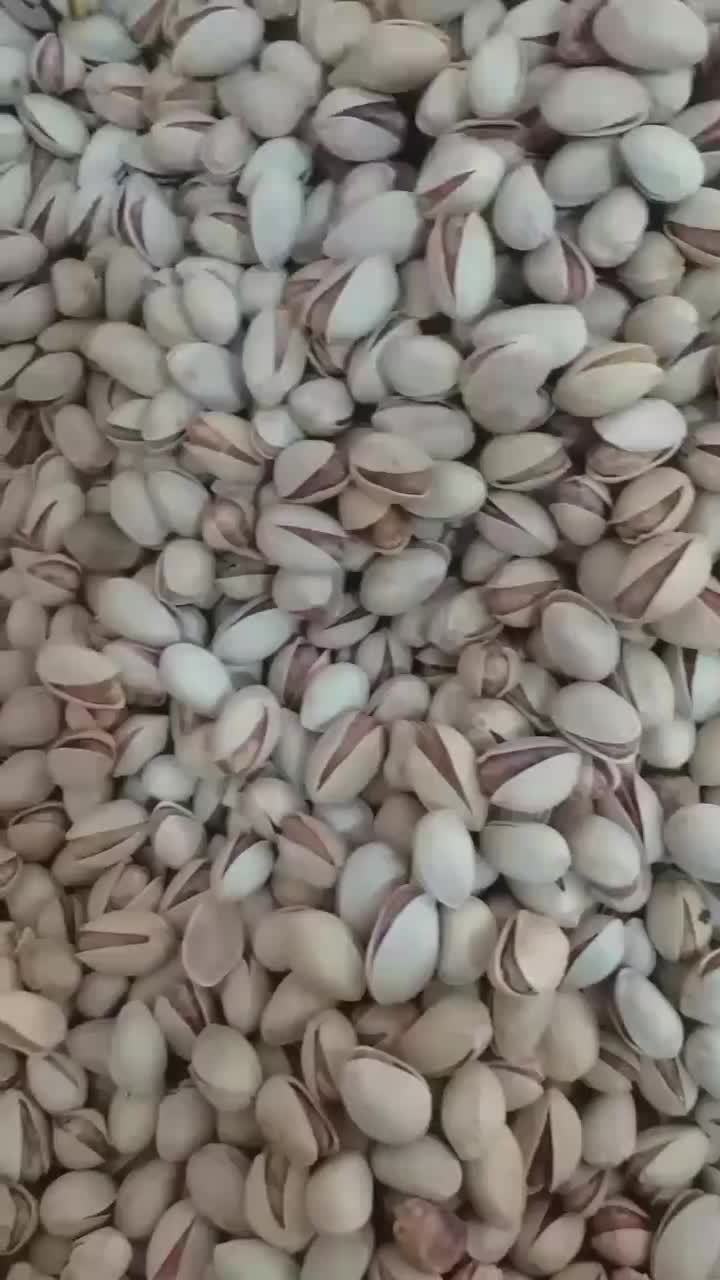 پخش آجیل خشکبار|خوردنی و آشامیدنی|اهواز, بنکداری|دیوار