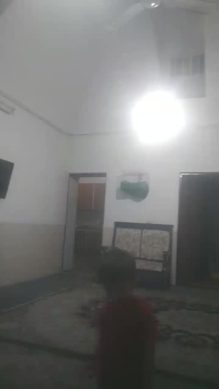 قناری نر سوخته سرخ بلژیکی مست شلاقی ،ماده|پرنده|کرمان, |دیوار