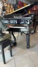 پیانو یاماها گرند طرح آکوستیک|پیانو، کیبورد، آکاردئون|مشهد, جانباز|دیوار