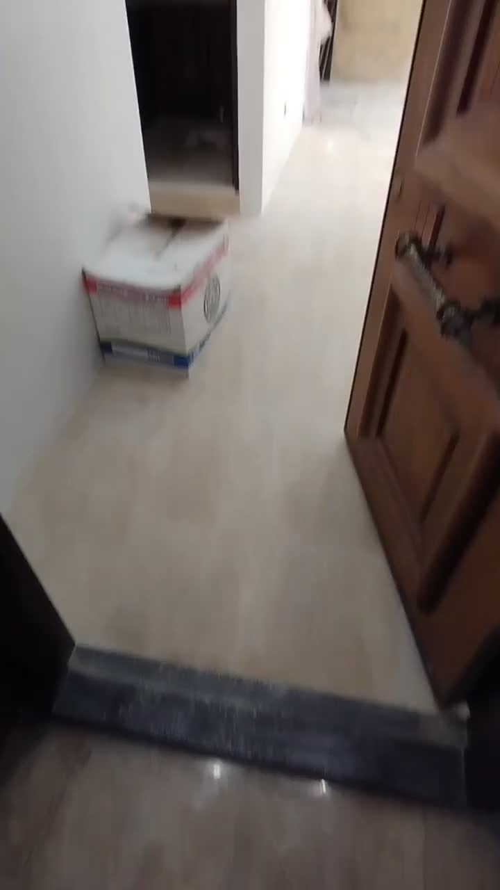 لاین نوری لوستر کلید پریز اجرا|لامپ و چراغ|شیراز, فضل‌آباد|دیوار