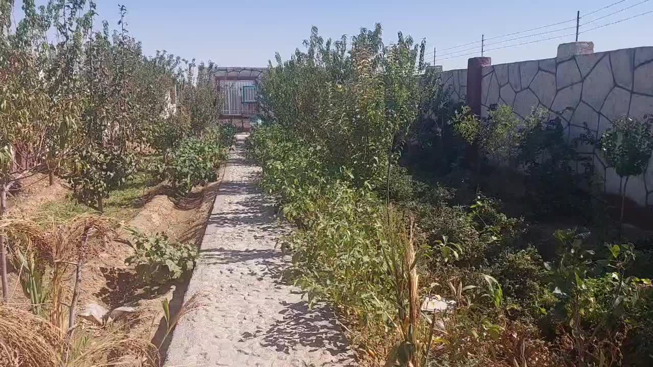 باغ ویلا اجاره ای|اجارهٔ کوتاه‌مدت ویلا و باغ|تایباد, |دیوار