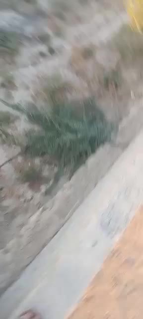 دامداری ۱۰ هزار متر/وام ۷ میلیاردی/چاه عمیق|فروش دفتر صنعتی، کشاورزی، تجاری|رامهرمز, |دیوار
