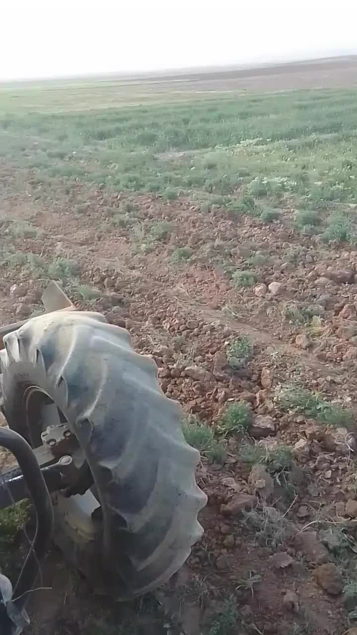 تراکتور مدل 95|خودرو سنگین|تربت‌حیدریه, بهشت عسکری|دیوار