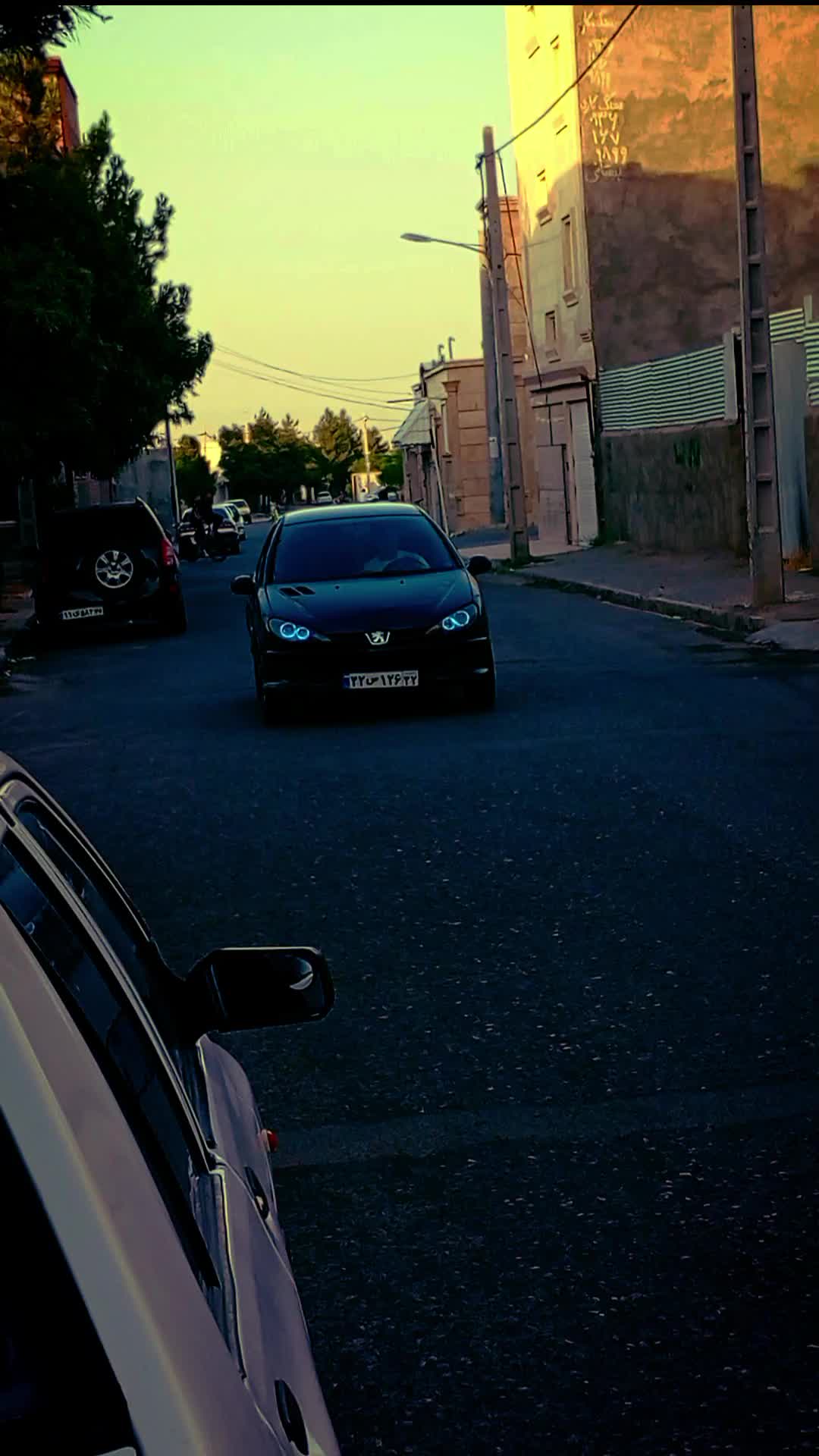 ۲۰۶ تیپ۲ مدل ۸۱|خودرو سواری و وانت|تربت جام, مسکن مهر|دیوار