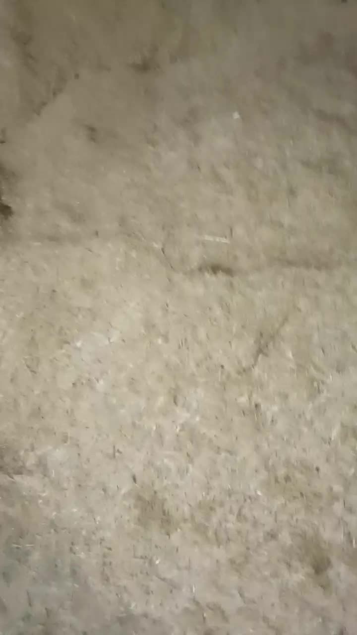 کاه درجه یک|عمدهفروشی|بیرانوند, |دیوار