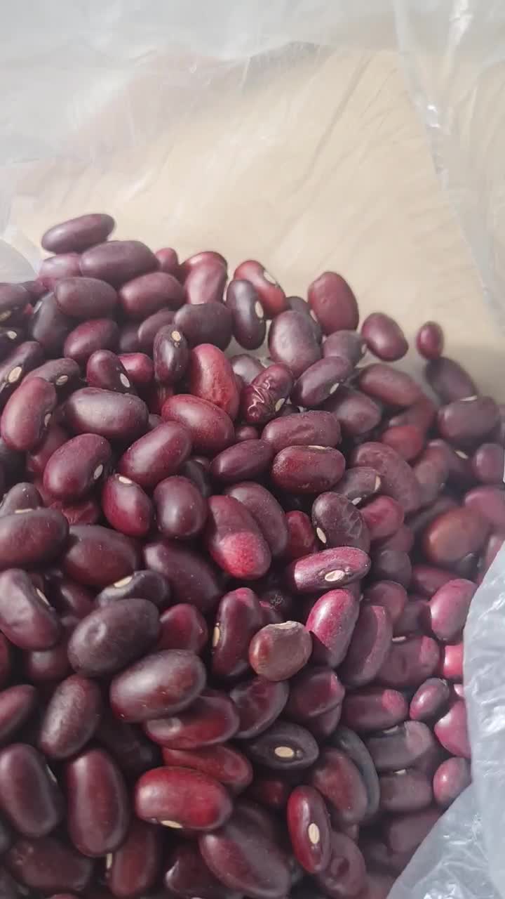 لوبیا قرمز خارجی|خوردنی و آشامیدنی|اصفهان, کوی امیریه|دیوار