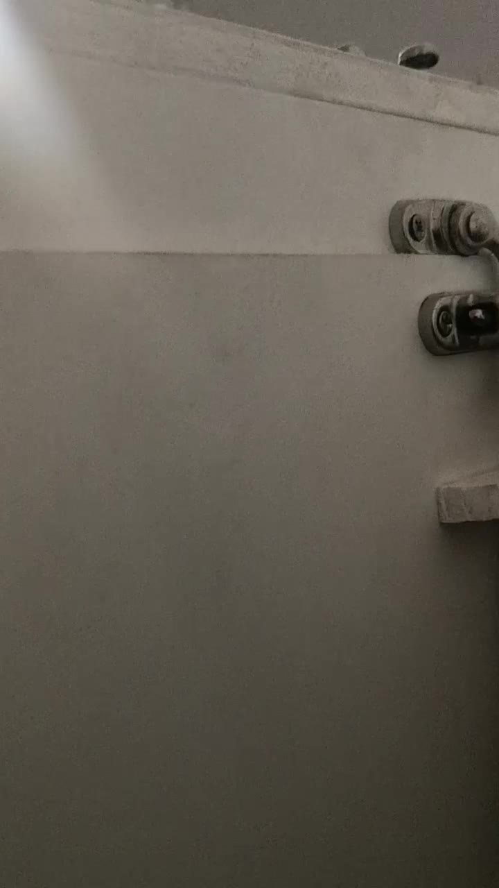 گرینچیک تراکوییس. راهب عروس هلندی. کاسکو.|پرنده|پردیس, فاز ۸|دیوار