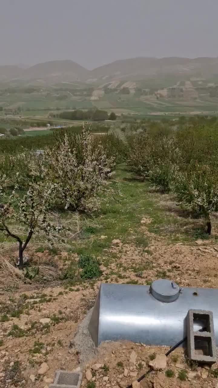 فروش  باغ صحنه دینور روستای احمد ابادو جیهون اباد|فروش دفتر صنعتی، کشاورزی، تجاری|صحنه, |دیوار