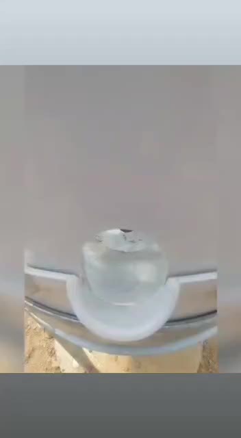 فروش گلخانه ی خاص اروپونیک با تراکم بالا|فروش دفتر صنعتی، کشاورزی، تجاری|نظرآباد, نجم آباد|دیوار