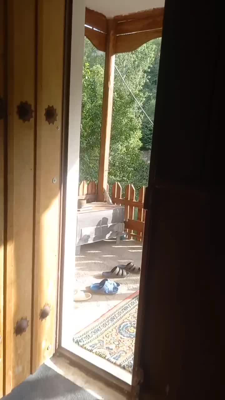 اجاره ویلای سنتی کنار رودخانه شاهرود|اجارهٔ کوتاهمدت ویلا و باغ|خلخال, |دیوار