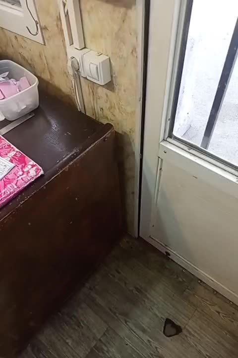 حمل نقل|خدمات حمل و نقل|اردبیل, |دیوار