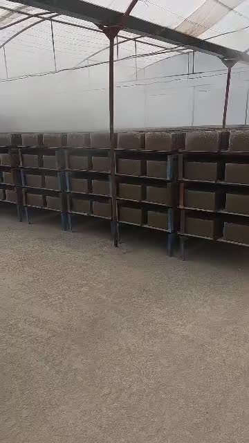 طرح لیکا بلوک گواهی فنی درب کارخانه|مصالح و تجهیزات ساختمان|اراک, |دیوار