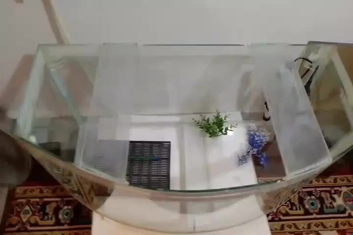 آکواریوم ۸۰در۲۷سانت با تجهیزات اگر خواستید|ماهی|بناب, |دیوار