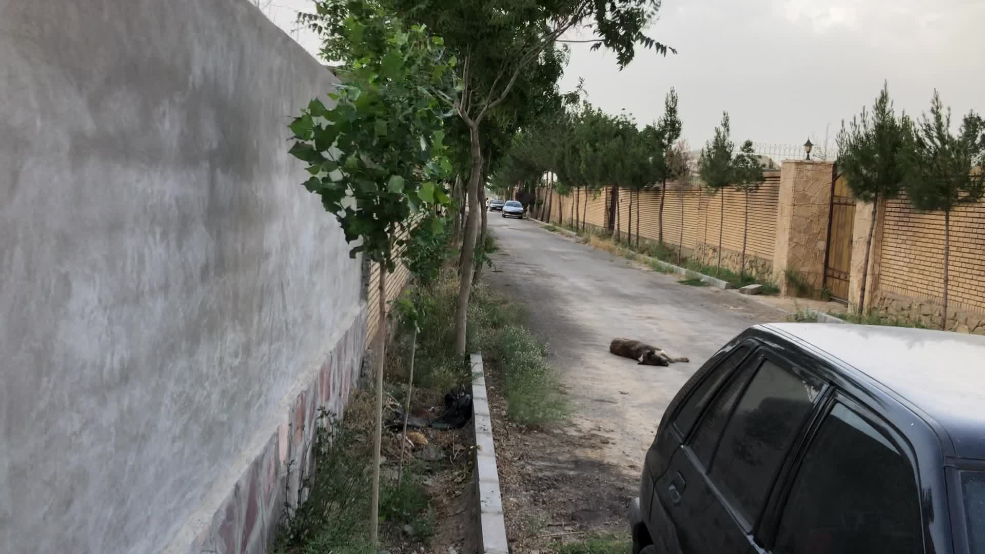 زمین باغی۷۴۰متر ابتدا جاده گلمکان(گاوترنا) گلستان۳|فروش زمین و ملک کلنگی|مشهد, آزادشهر|دیوار