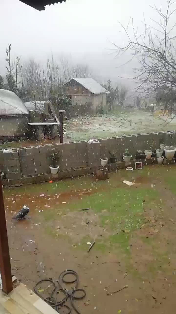 اجاره ویلا شبانه|اجارهٔ کوتاهمدت ویلا و باغ|ماکلوان, |دیوار