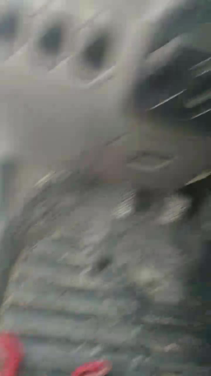 پراید مدل ۹۸بی رنگ بی ضربه|خودرو سواری و وانت|کوراییم, |دیوار