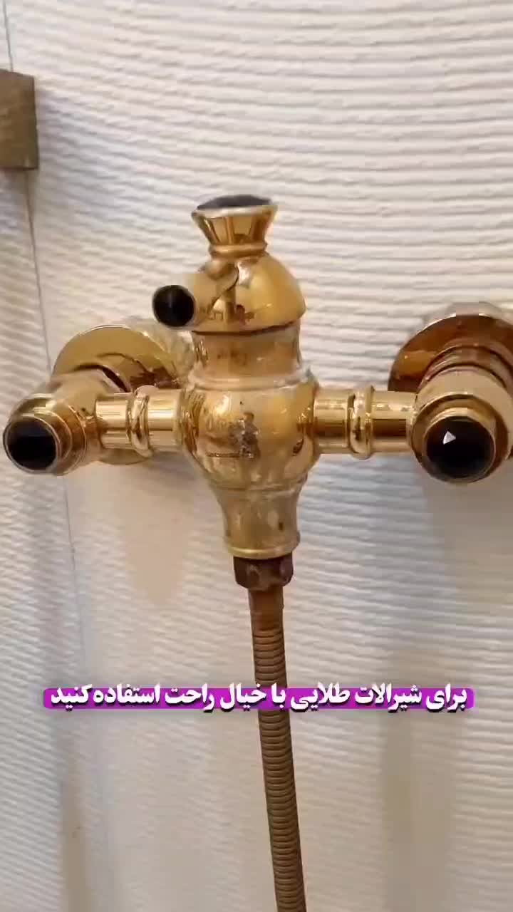 محصولات نانوشرکت بیز خارجی اصل|مواد شوینده و دستمال کاغذی|اسلام‌شهر, |دیوار