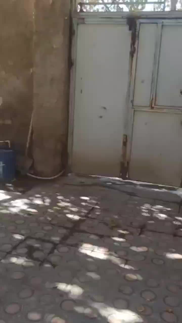 منزل فروشی ۳ خوابه امام خمینی ۸|فروش خانه و ویلا|خاش, |دیوار