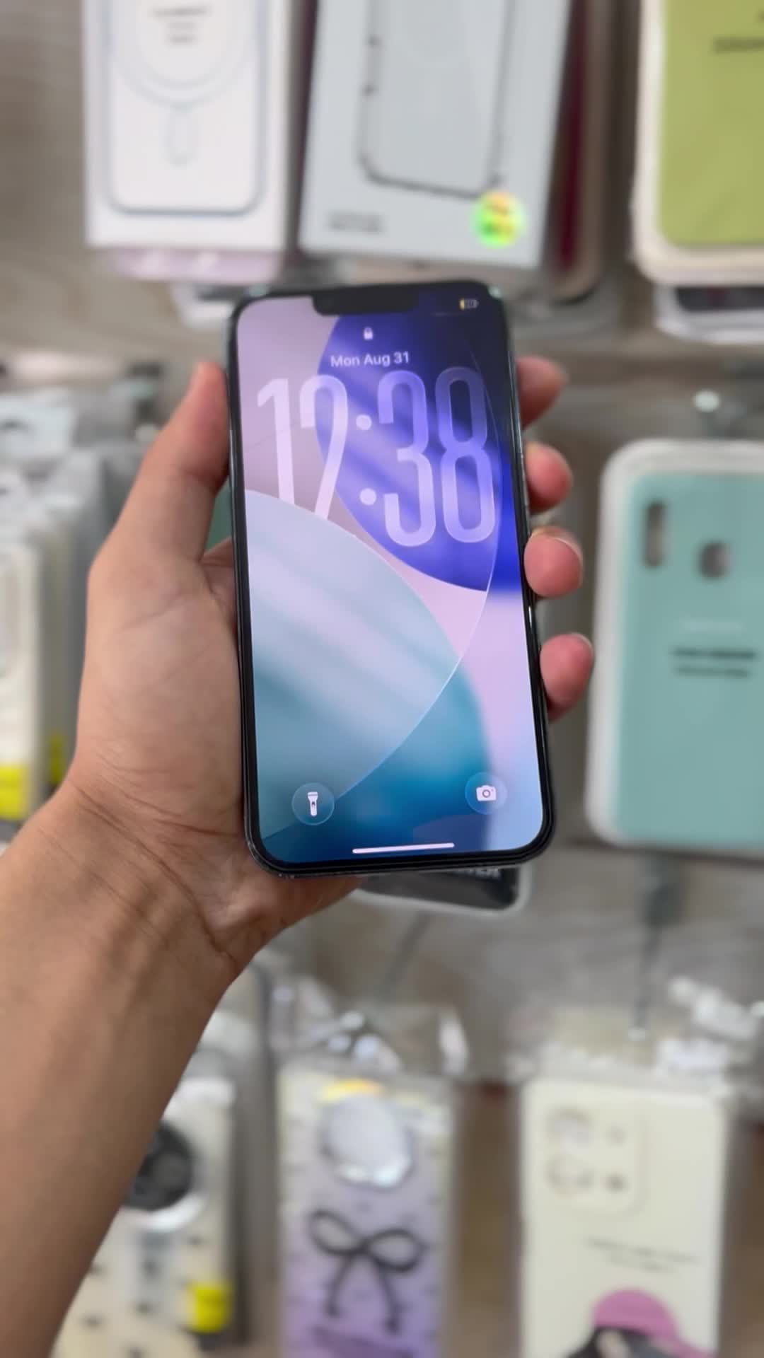 iphone 13 pro|موبایل|مشهد, کوشش|دیوار