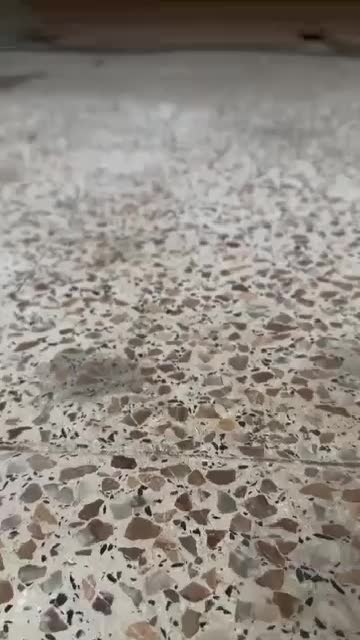 کتابخانه و قفسه کتاب مدل درختی ۸ سفید|کتابخانه، شلف، قفسه‌های دیواری|تبریز, |دیوار