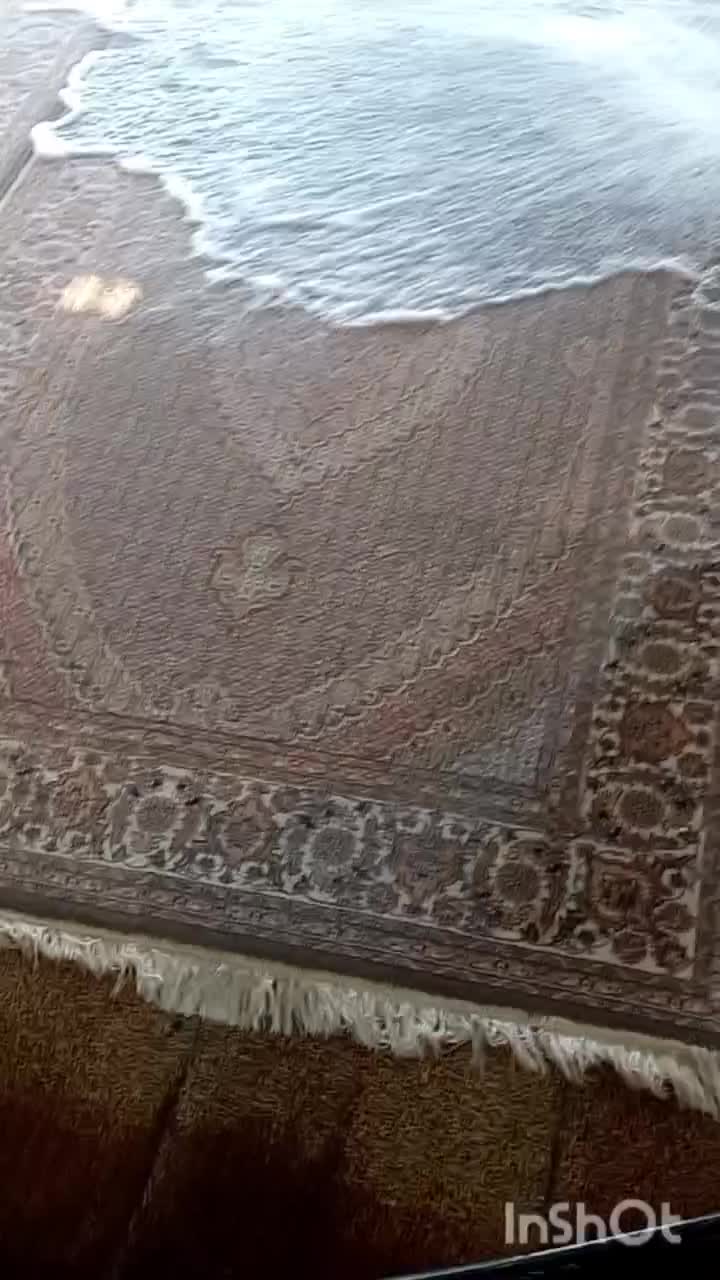 قالیشویی/ رفوگری /مبلشویی پرویزی|خدمات نظافت|فردیس, ثابتی|دیوار