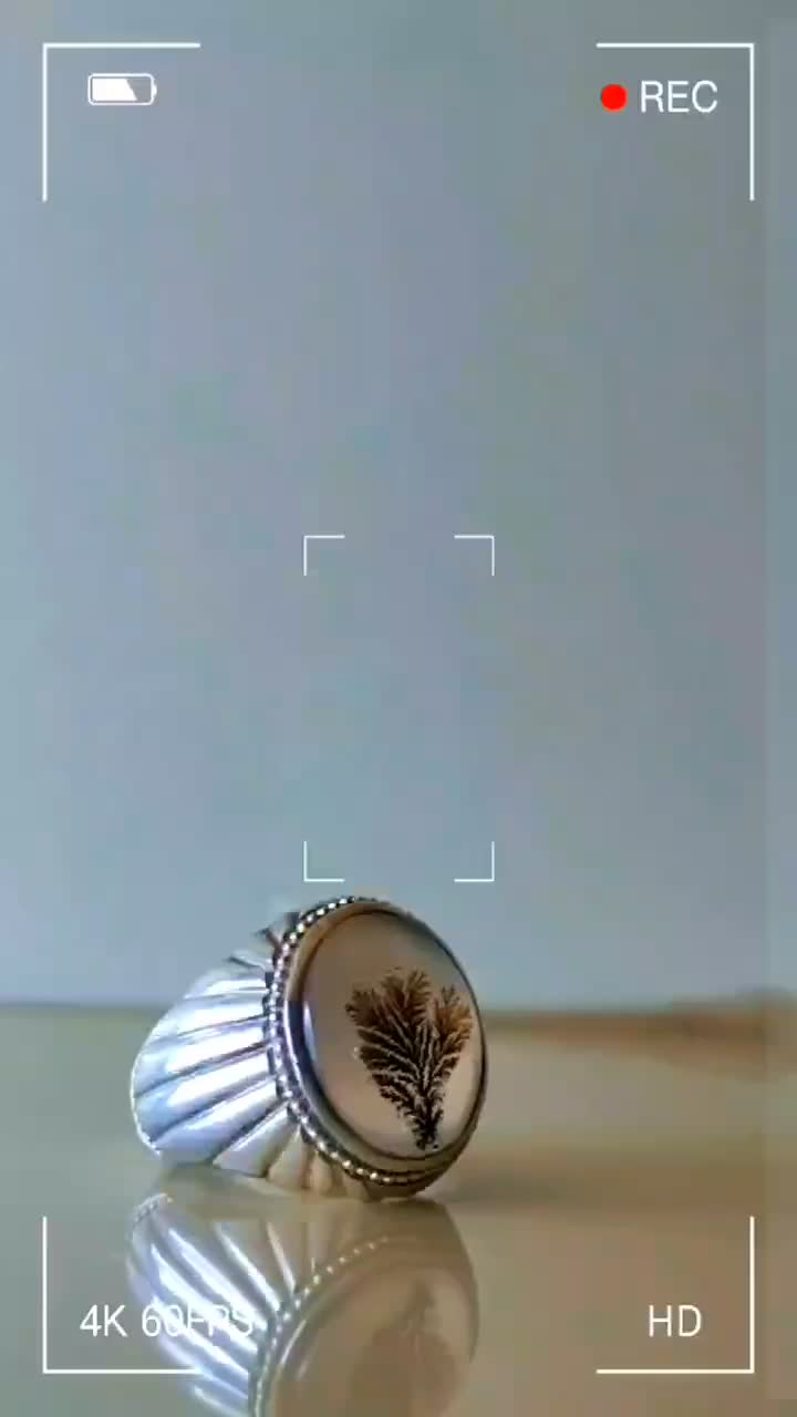 انگشترشجر تک درخت|کلکسیون اشیاء عتیقه|همدان, |دیوار