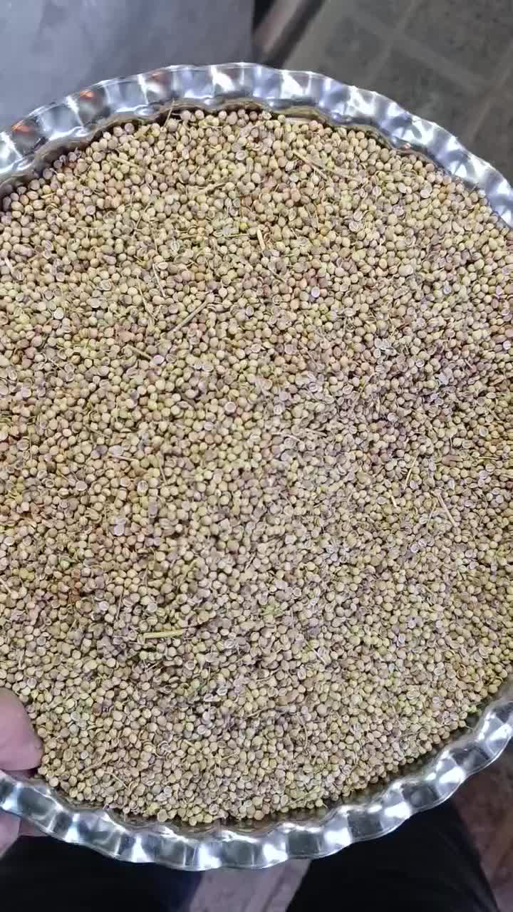 گشنیز|عمدهفروشی|کنگاور, |دیوار