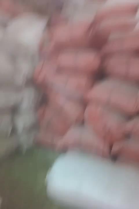 کاه گندم وکاه گلزا|عمدهفروشی|امیدیه, |دیوار