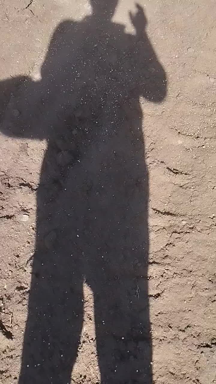 کود غنی شده مخصوص|خدمات باغبانی و درختکاری|زیباشهر, |دیوار