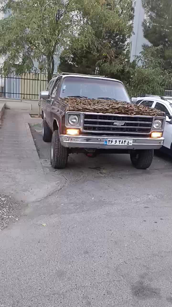 بلیزر ۱۹۷۷ دنده ای ۶ سیلندر|خودرو کلاسیک|تهران, اوقاف|دیوار