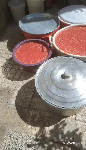 رب آبگیری گوجه فرنگی و انگور آب گوجه ابگوجه|خدمات پیشه و مهارت|همدان, |دیوار