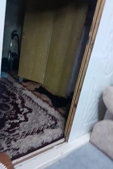 خانه ویلایی در صالحیه نگارستان ۸|فروش خانه و ویلا|چهاردانگه (تهران), |دیوار