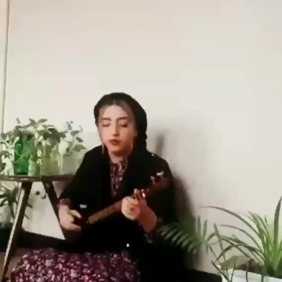 آموزش سه تار|خدمات آموزشی|تهران, سازمان برنامه شمالی|دیوار