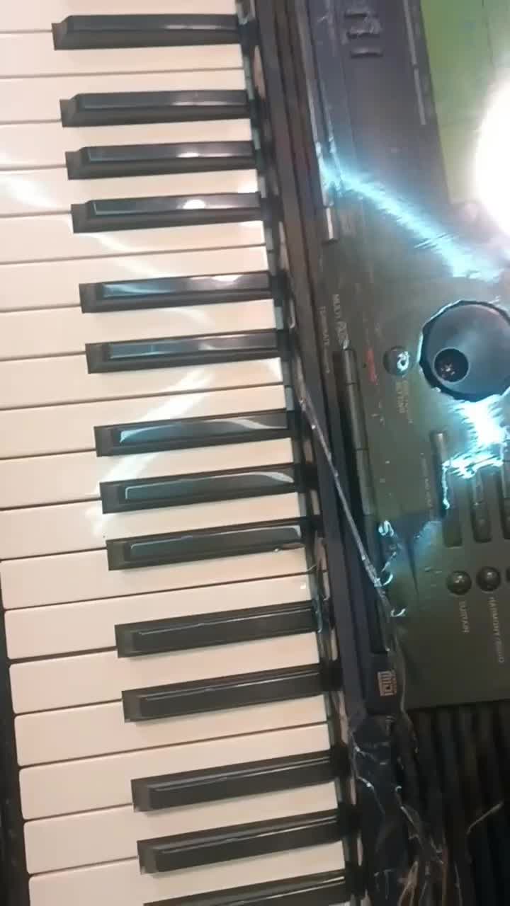 ارگ خیلی تمیز|پیانو، کیبورد، آکاردئون|تبریز, |دیوار