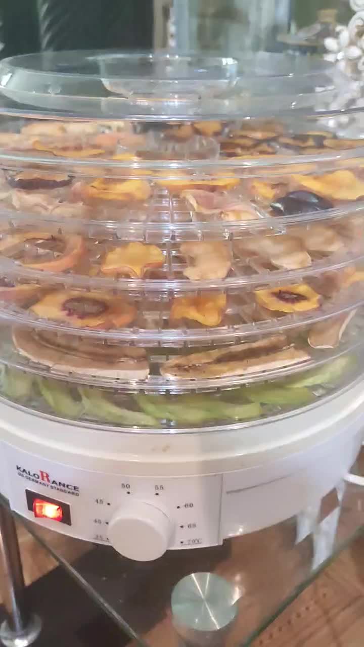 میوه خشک کن کلورانس با کارتن|سایر لوازم برقی|صدرا-فارس, فاز ۱|دیوار