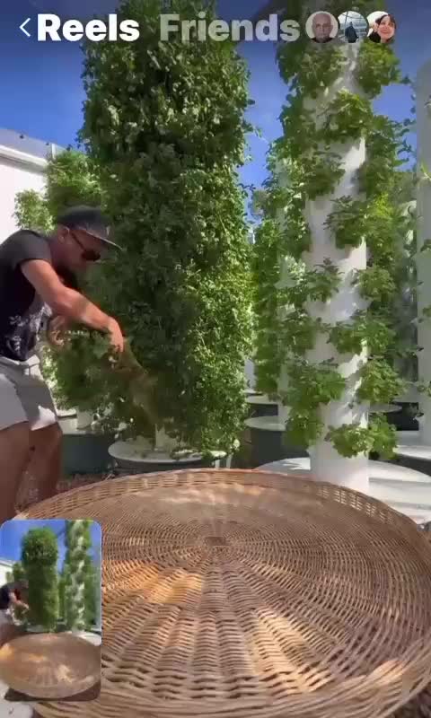 اجاره سوییت ویلا وباغ حومه تهران|استخدام سرایداری و نظافت|تهران, تهرانپارس شرقی|دیوار