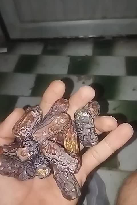 ریزه پیارم|حراج|حاجی آباد, |دیوار