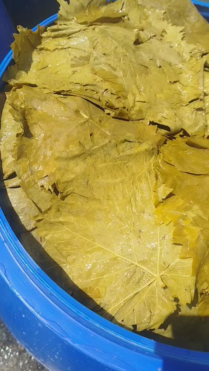 برگ مو برگ دلمه شیره انگور درجه یک|خوردنی و آشامیدنی|تهران, امام حسین|دیوار