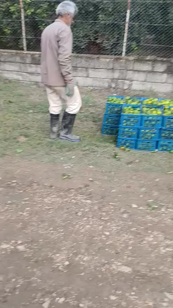 نیسان ۸۷ کارخانه موتور و فنی درحد صفر آماده کار|خودرو سواری و وانت|مرند, |دیوار